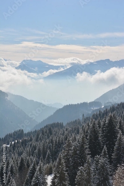 Fototapeta mountains in winter