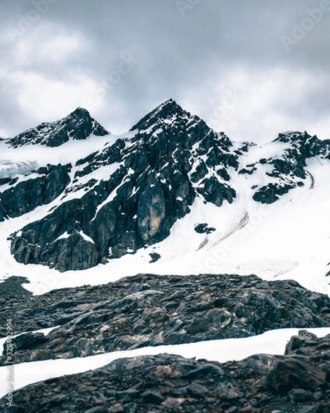 Fototapeta mountains in winter