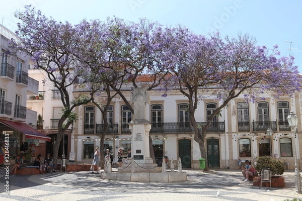 Obraz flower building