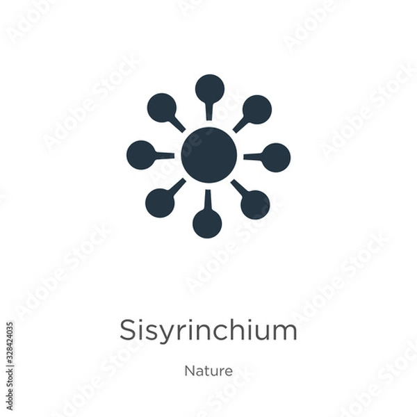 Fototapeta Sisyrinchium icon vector. Trendy flat sisyrinchium icon from nature collection isolated on white background. Vector illustration can be used for web and mobile graphic design, logo, eps10