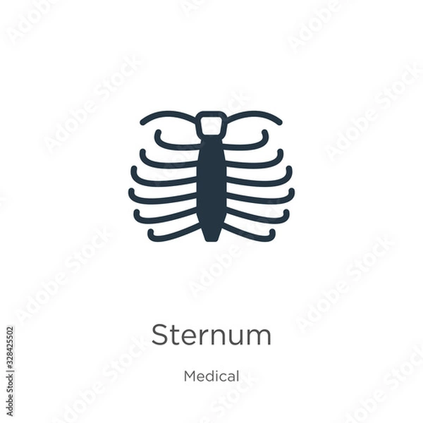Fototapeta Sternum icon vector. Trendy flat sternum icon from medical collection isolated on white background. Vector illustration can be used for web and mobile graphic design, logo, eps10