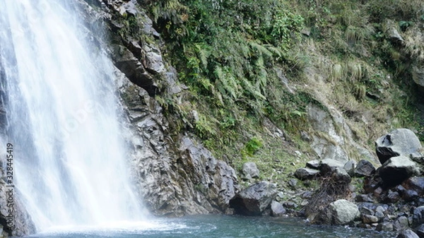 Fototapeta waterfall in forest