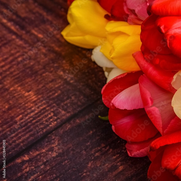 Fototapeta Large bright bouquet of multi-colored tulips on wooden boards of dark brown color.
