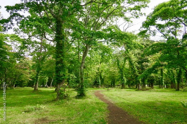 Fototapeta 支笏洞爺国立公園　休暇村広場