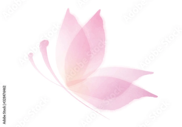 Fototapeta 蝶　花びら　水彩