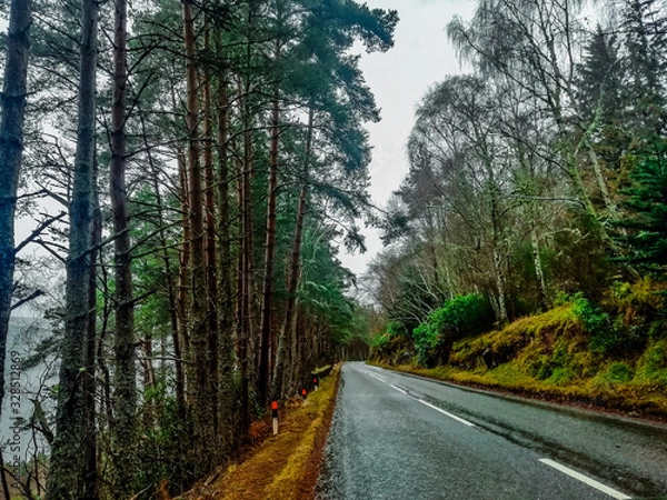 Obraz road in forest