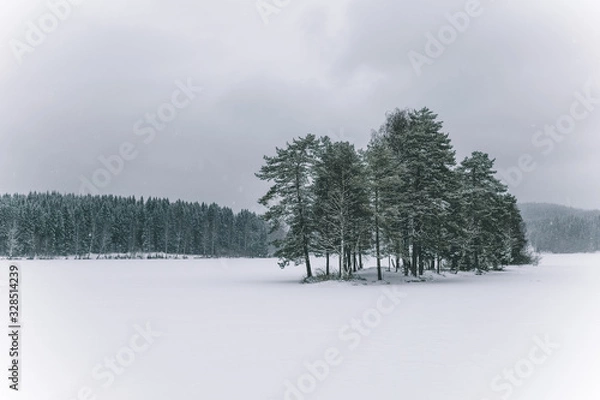 Obraz icy lake on a snowy winter day in norway