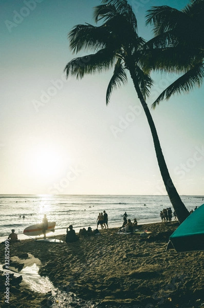 Fototapeta hammock on the beach