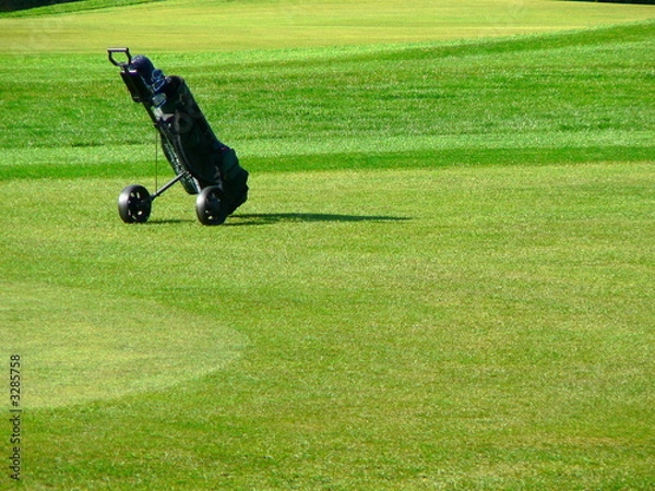 Fototapeta caddy on golf course
