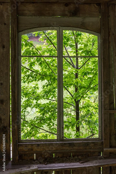 Obraz wooden windows from which you can see a forest of abundant vegetation and intense green
