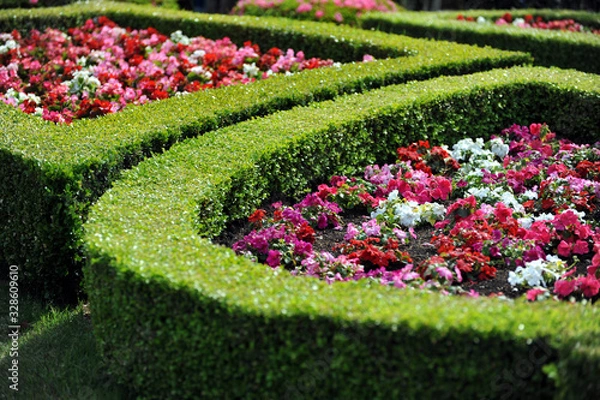 Obraz 旧古河庭園の生垣とガーデニングの風景