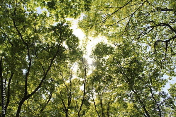 Obraz 싱그러운 연두색