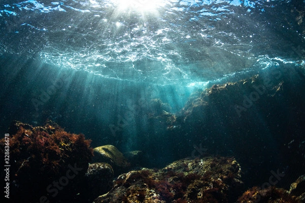 Fototapeta 伊豆の海　降り注ぐ光３