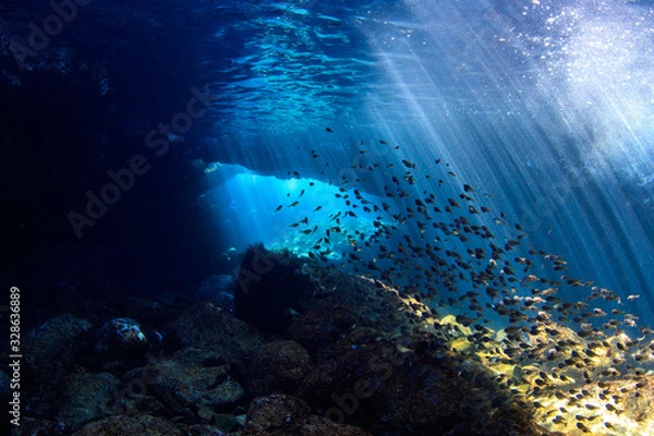 Fototapeta 伊豆の海　降り注ぐ光