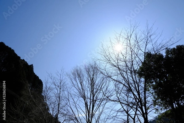 Fototapeta 風景　山　湖　ダム
