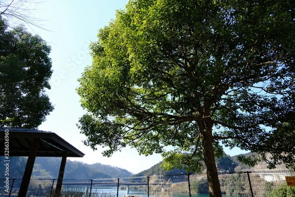 Fototapeta 風景　山　湖　ダム