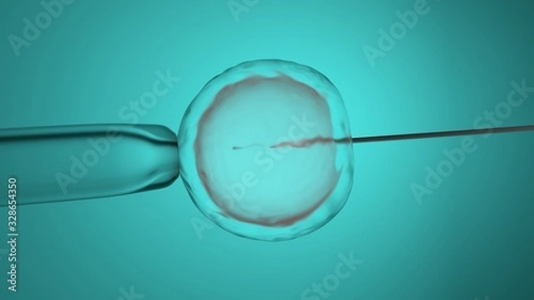 Fototapeta In vitro fertilization, artificial insemination. 3D-rendering.
