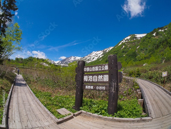 Fototapeta 栂池自然園の入り口