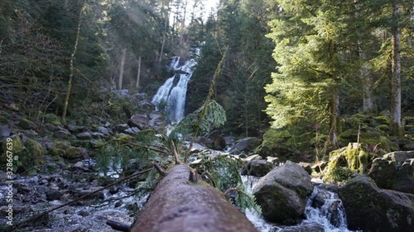 Obraz cascade forêt nature