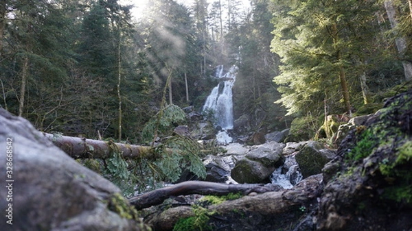 Obraz cascade rochet chute d'eau forêt