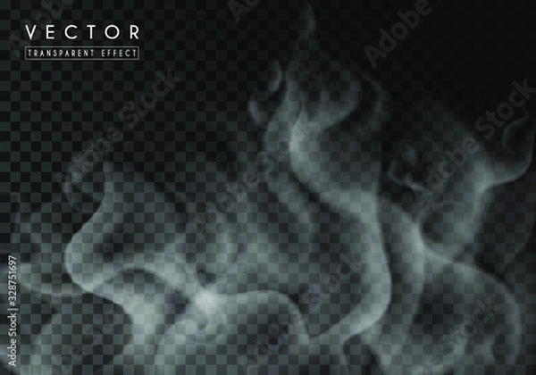 Fototapeta Transparent special effect of hot steam or smoke. Vector gas, fog isolated on dark background. Realistic wavy elements
