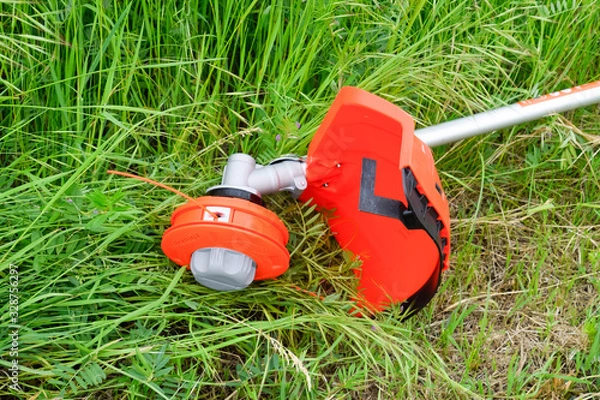 Fototapeta Trimer gascosis with a leaf for mowing grass and shrubs.