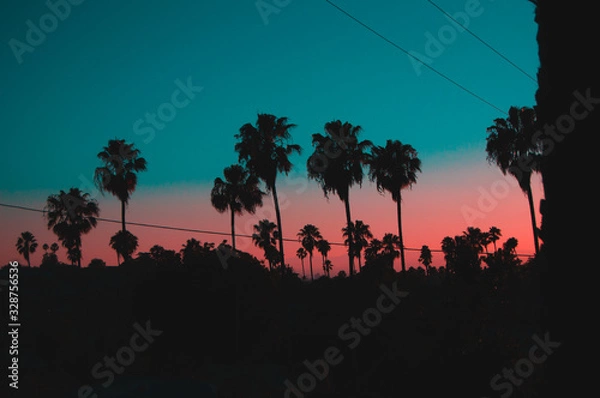 Obraz Pink Blue Palms