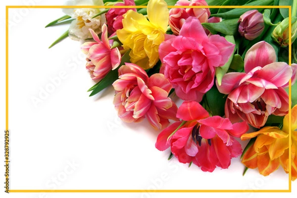 Fototapeta Card with a bouquet of colorful tulips on a white background in a yellow frame