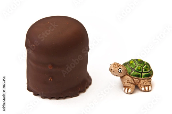 Obraz Schildkroete mit Schoko