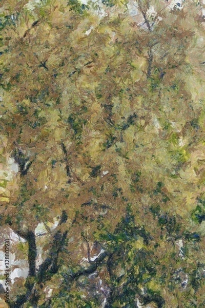 Obraz Trees and wood leggings of trees Illustrations creates an impressionist style of painting.