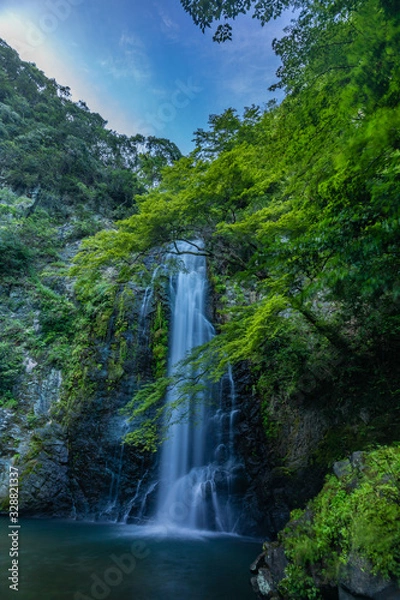Fototapeta 大自然の中の滝