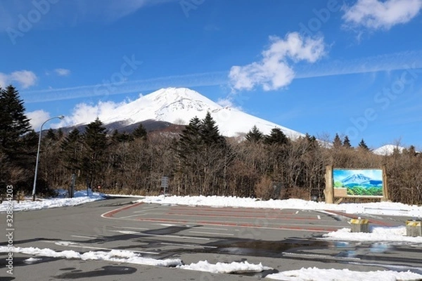 Obraz 森の駅　富士山
