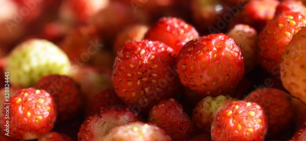 Obraz strawberries on black background