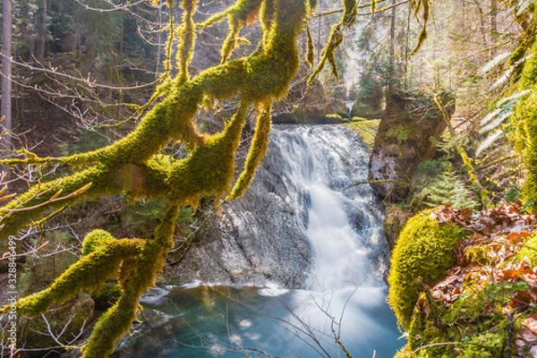 Fototapeta A big waterfall in the forest through the mossy branches of a tree in the sun