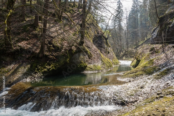 Fototapeta Small waterfall in the Eistobel, a gorge in Algäu, with forest and trees in the surroundings. 