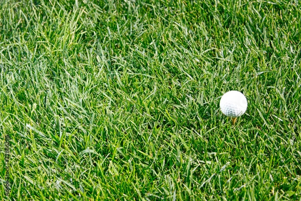 Fototapeta Golf ball with copy space