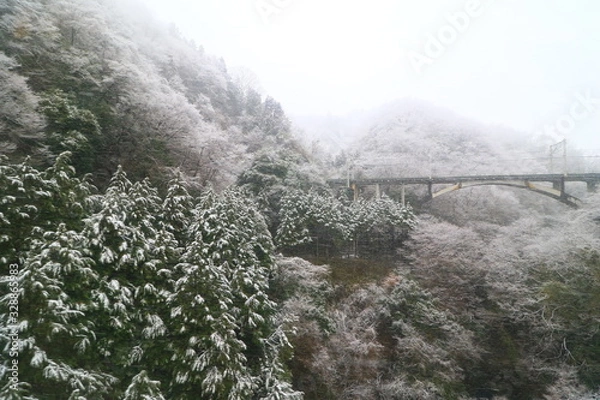 Obraz 春のドカ雪