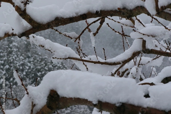 Obraz 春のドカ雪