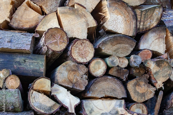 Obraz Stacked cut wooden logs suitable as background