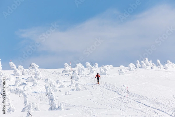 Fototapeta 森吉阿仁スキー場