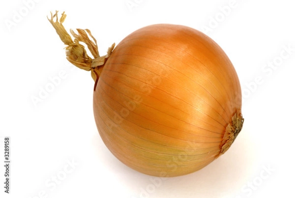 Fototapeta oignon jaune