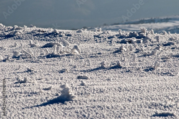 Fototapeta paesaggio innevato