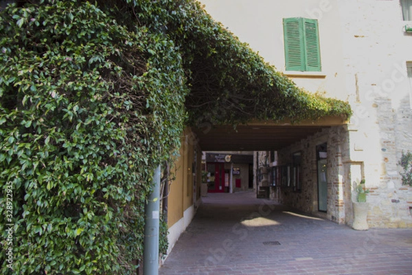 Obraz old house in garden