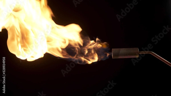 Obraz Flames from a gas burner on a black background.