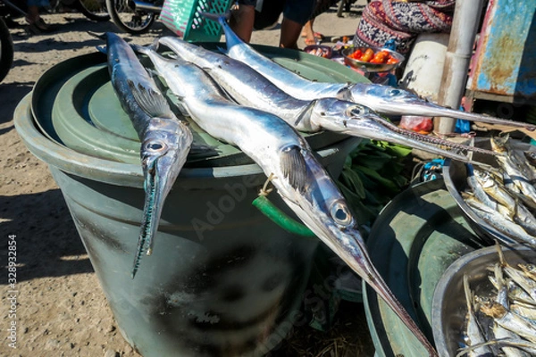 Fototapeta A four long and thick fish located on a plastic basin, drying on the sun and waiting to be sold on a local market in Maumere, Flores, Indonesia. Local speciality.