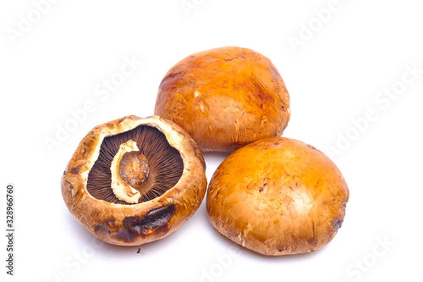 Obraz Portobello mushroom isolated on white background