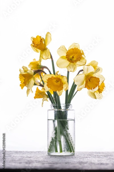 Fototapeta daffodils