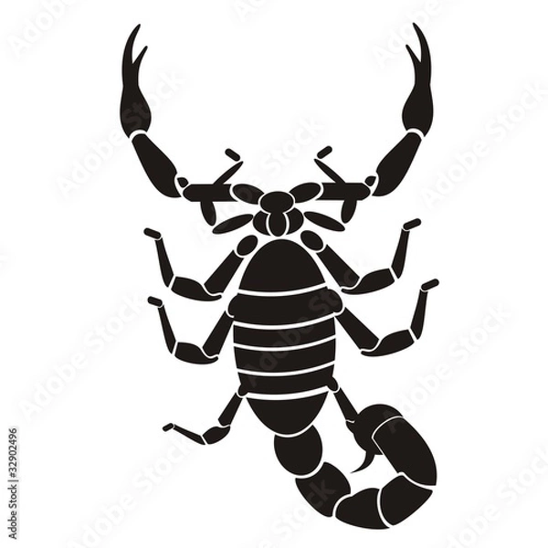 Fototapeta araclan_3