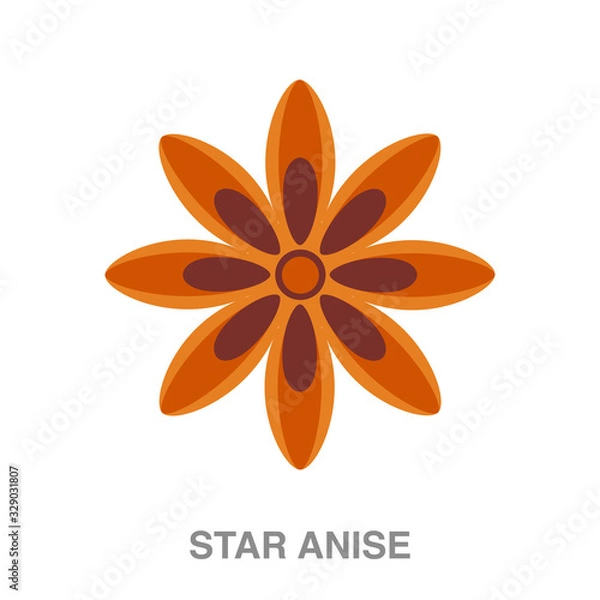 Fototapeta star anise flat icon on white transparent background. You can be used black ant icon for several purposes.	