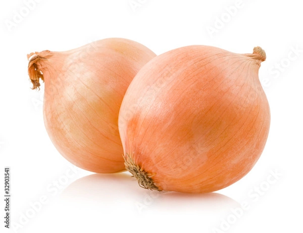 Obraz onions